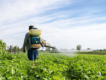 Plantation and Agriculture